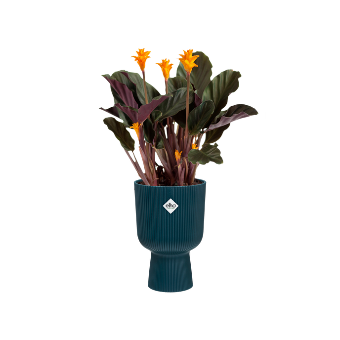 vibes fold coupe 14cm diepblauw